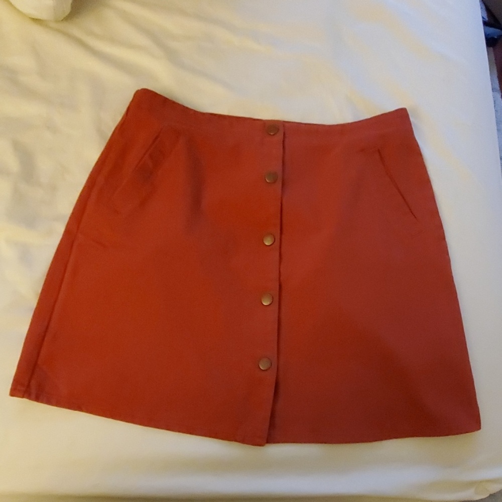 Francesca's Skirt